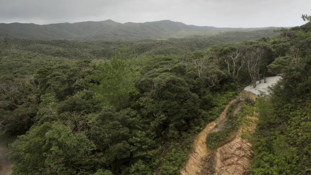 A view across the Jungle Warfare Training Center at Camp Gonsalves, Okinawa (2016).