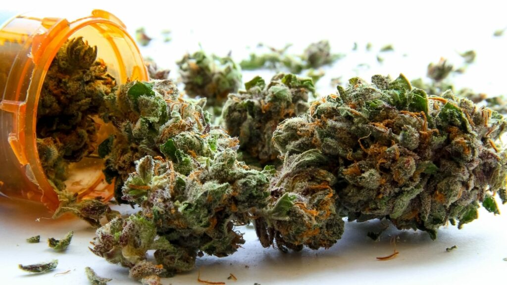 Wrongful use of Marijuana